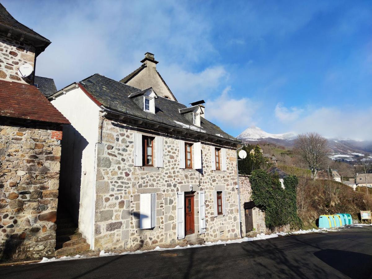 Maison Familiale Et Authentique Saint-Jacques-des-Blats Kültér fotó